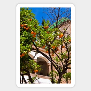 Morocco. Casablanca. City Hall. Inner Courtyard. Oranges. Sticker